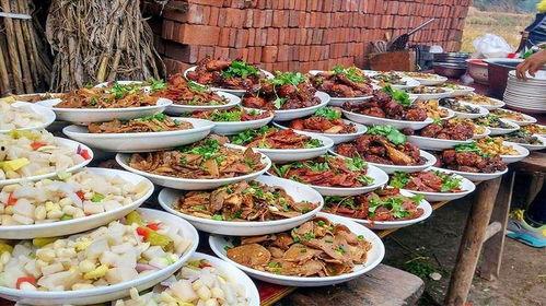 农村宴席爆料视频播放网站,一场视觉盛宴背后的故事